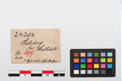 Etiketten zu Bronzegürtelhaken (NHMW-PRAE-024294)